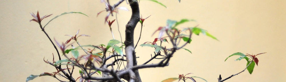 Modal dikit Untung gede tiap hari